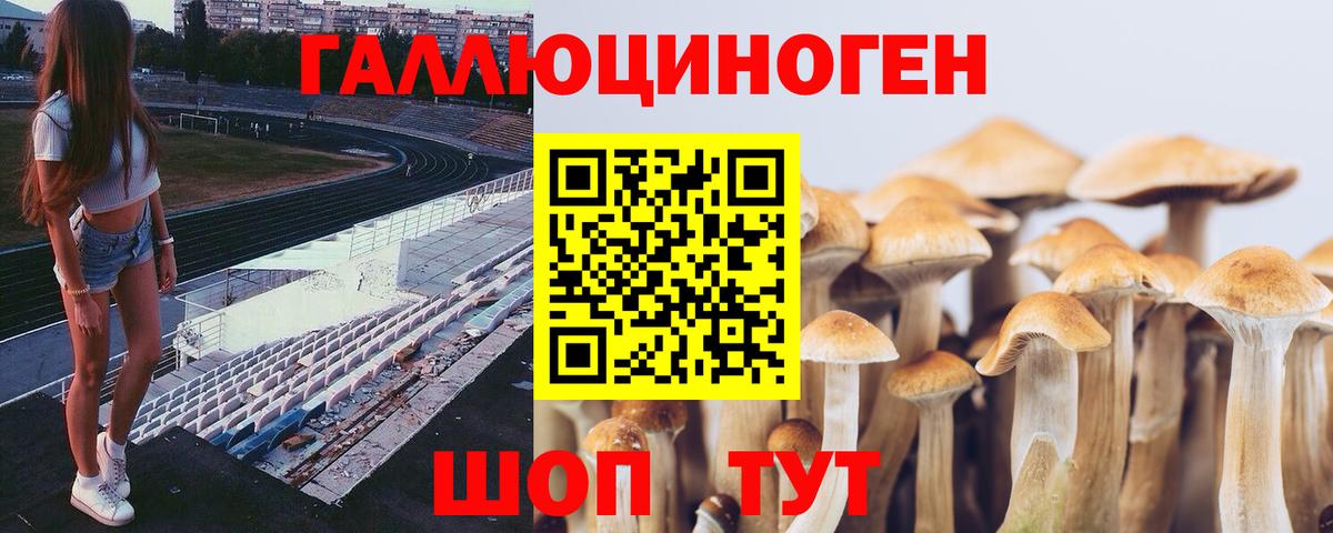 Галлюциногенные грибы GOLDEN TEACHER  купить   Кыштым  Псилоцибиновые грибы Psilocybe  Вход с VPN 